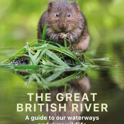 The Great British River