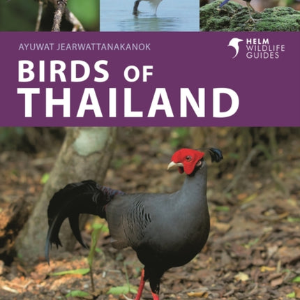 Birds of Thailand