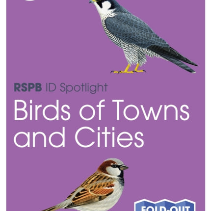 RSPB ID Spotlight  Birds of Towns and Cities