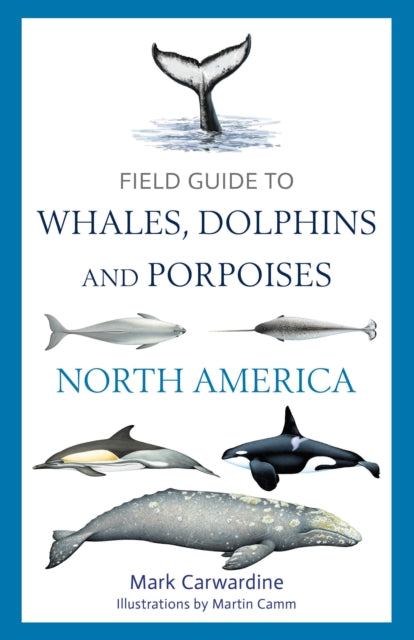 Field Guide to Whales Dolphins and Porpoises of North America