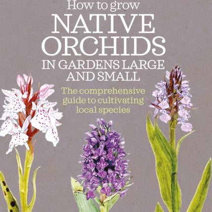 How to Grow Native Orchids in Gardens Large and