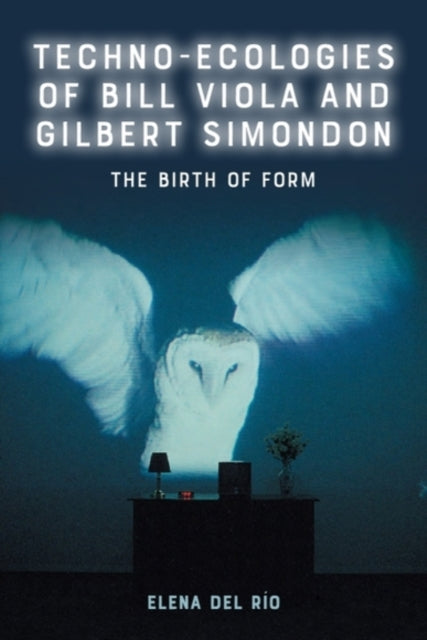 TechnoEcologies of Bill Viola and Gilbert Simondon