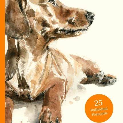 For the Love of Dogs 25 Postcards