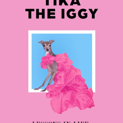 Tika the Iggy: Lessons in Life, Love, and Fashion