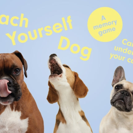 Teach Yourself Dog: A memory game