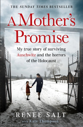A Mothers Promise