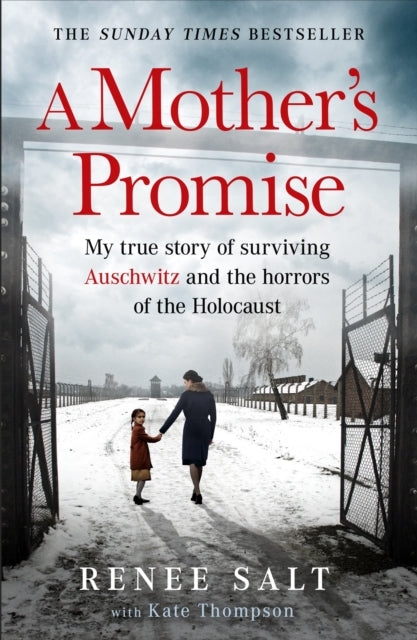 A Mothers Promise