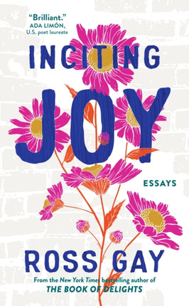 Inciting Joy: Essays