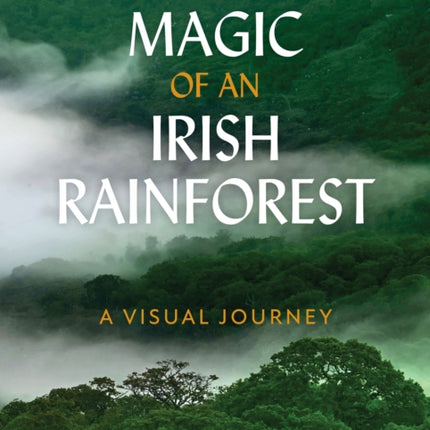 The Magic of an Irish Rainforest