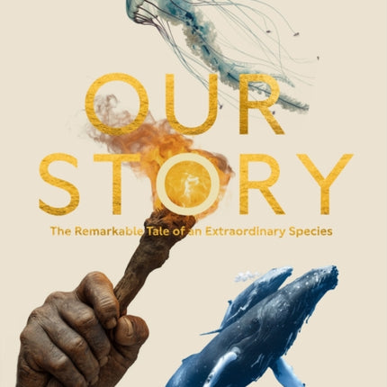 Our Story