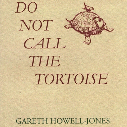 Do Not Call the Tortoise