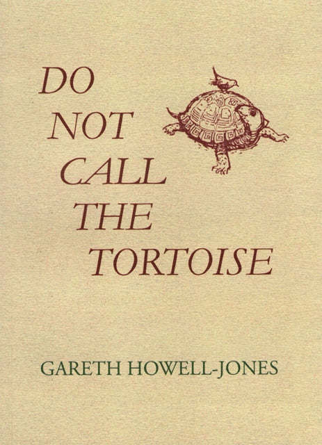 Do Not Call the Tortoise