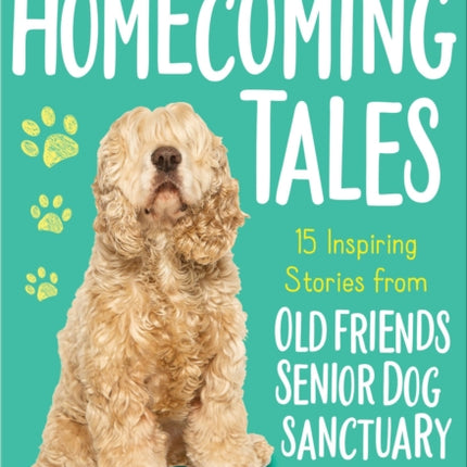 Homecoming Tales: 15 Inspiring Stories from Old Friends Senior Dog Sanctuary