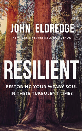 Resilient: Restoring Your Weary Soul in These Turbulent Times