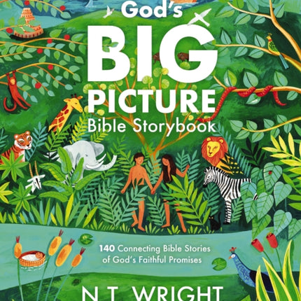 Gods Big Picture Bible Storybook