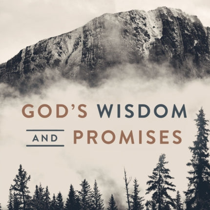 God's Wisdom and Promises