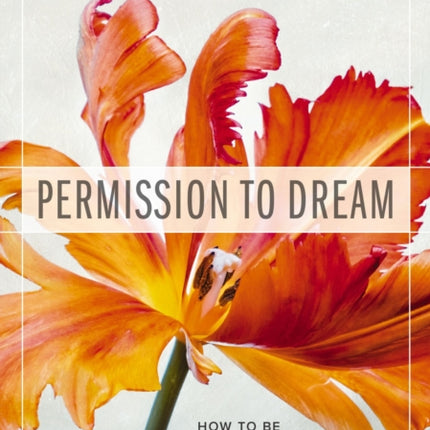 Permission to Dream