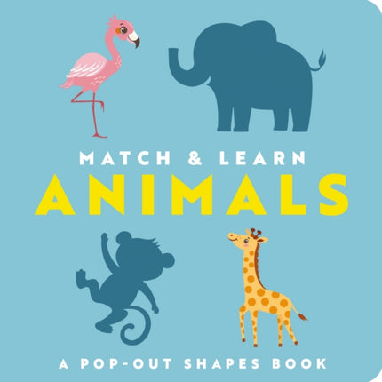 Match and   Learn Animals