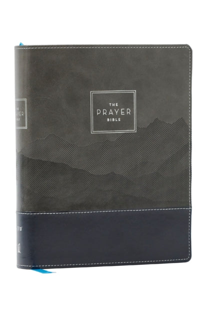 The Prayer Bible Pray Gods Word Cover to Cover NIV BlackGray Leathersoft Red Letter Comfort Print