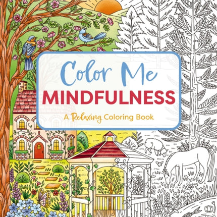 Color Me Mindfulness