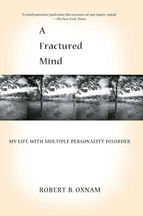 A Fractured Mind