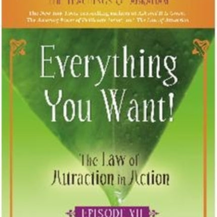 Everything You Want The Law of Attraction in Action Episode VII DVD NTSC