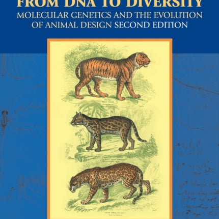 From DNA to Diversity: Molecular Genetics and the Evolution of Animal Design