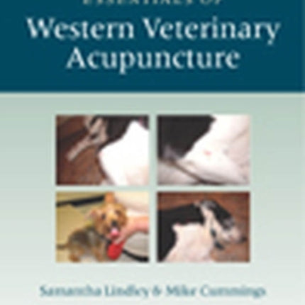 Essentials of Western Veterinary Acupuncture