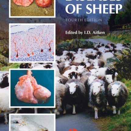 Diseases of Sheep