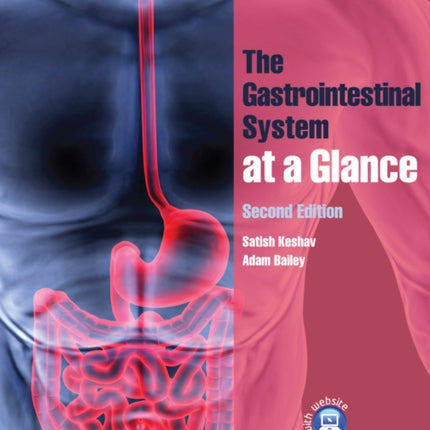 The Gastrointestinal System at a Glance