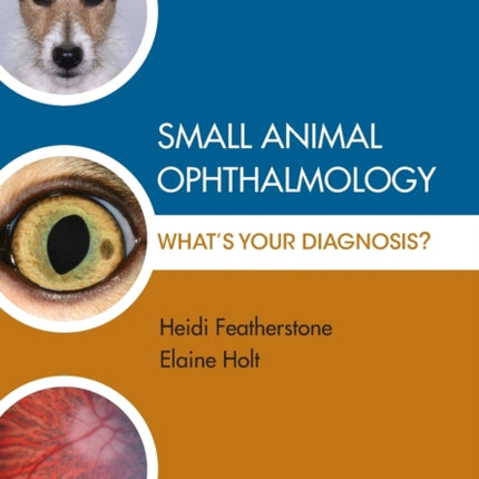 Small Animal Ophthalmology: What's Your Diagnosis?