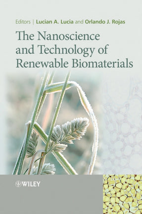 The Nanoscience and Technology of Renewable