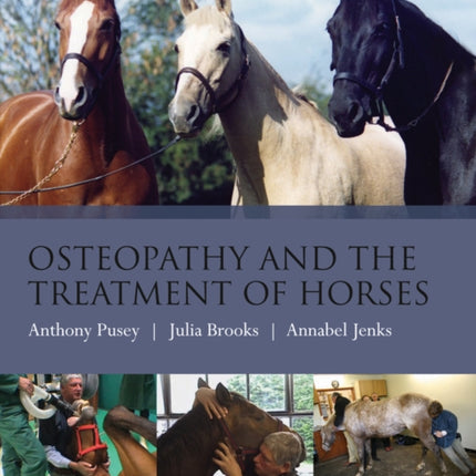 Osteopathy and the Treatment of Horses