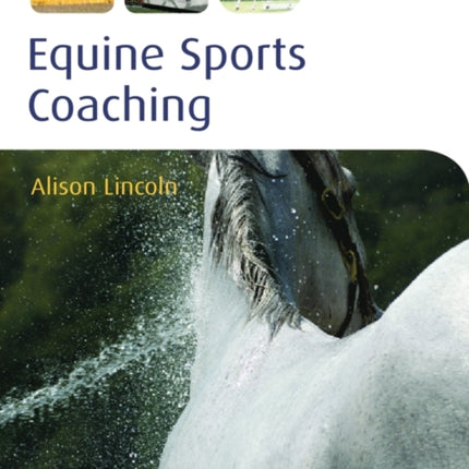 Equine Sports Coaching