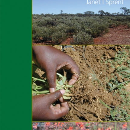 Legume Nodulation