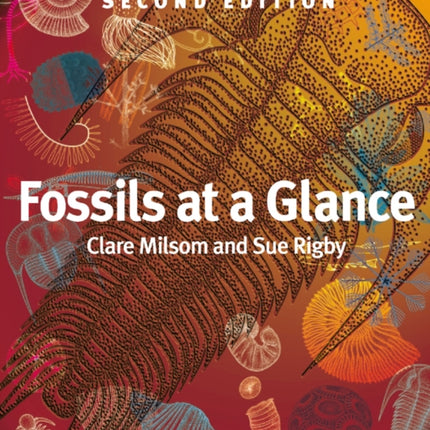 Fossils at a Glance