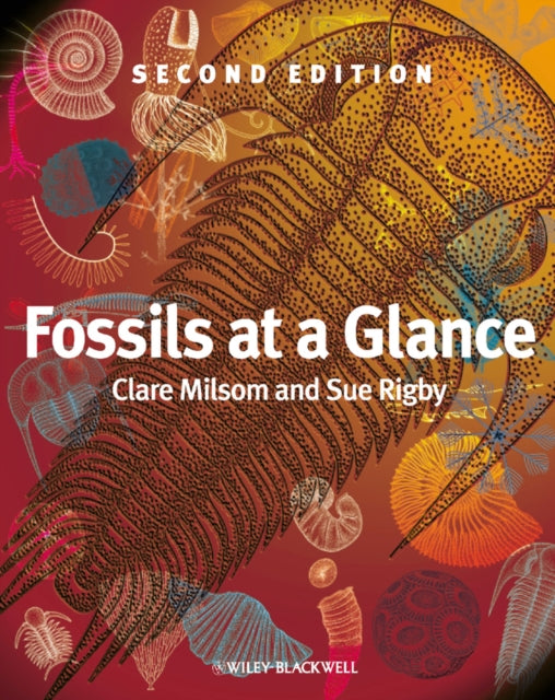 Fossils at a Glance