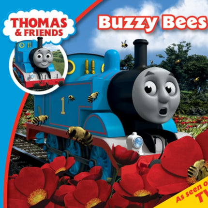 Thomas  Friends Buzzy Bees