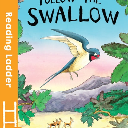 Follow the Swallow (Reading Ladder Level 2)