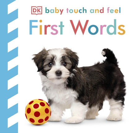 Baby Touch and Feel First Words