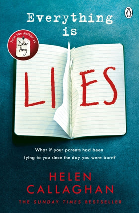 Everything Is Lies: From the Sunday Times bestselling author of Dear Amy