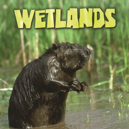Wetlands Habitat Survival