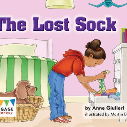 The Lost Sock