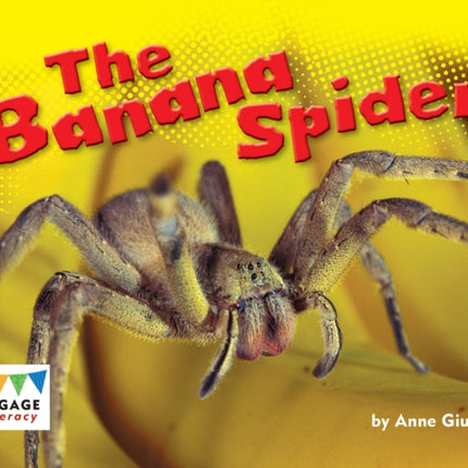 The Banana Spider