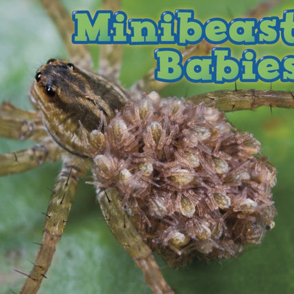 Minibeast Babies Animal Babies