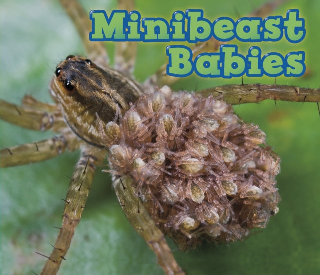 Minibeast Babies Animal Babies