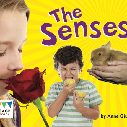 The Senses