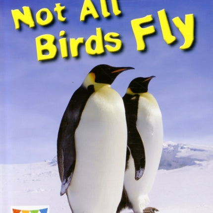 Not All Birds Fly