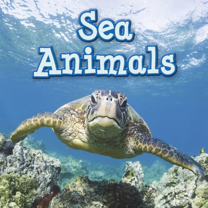 Sea Animals