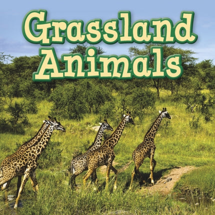 Grassland Animals